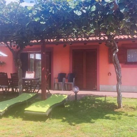 Villa Fiumana Рийека Екстериор снимка